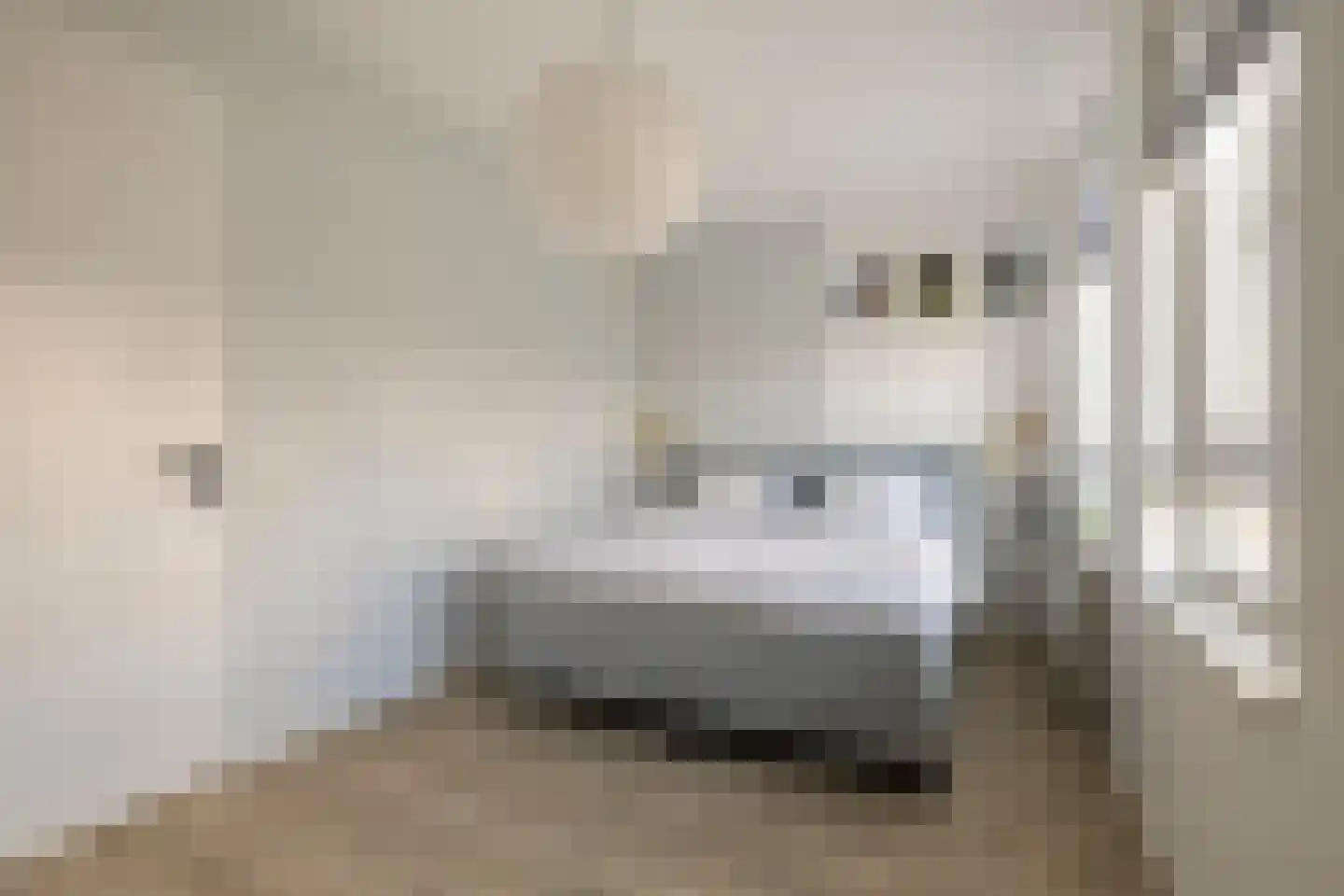 Hoge Rijndijk 4 26 Woerden thumbnail 18