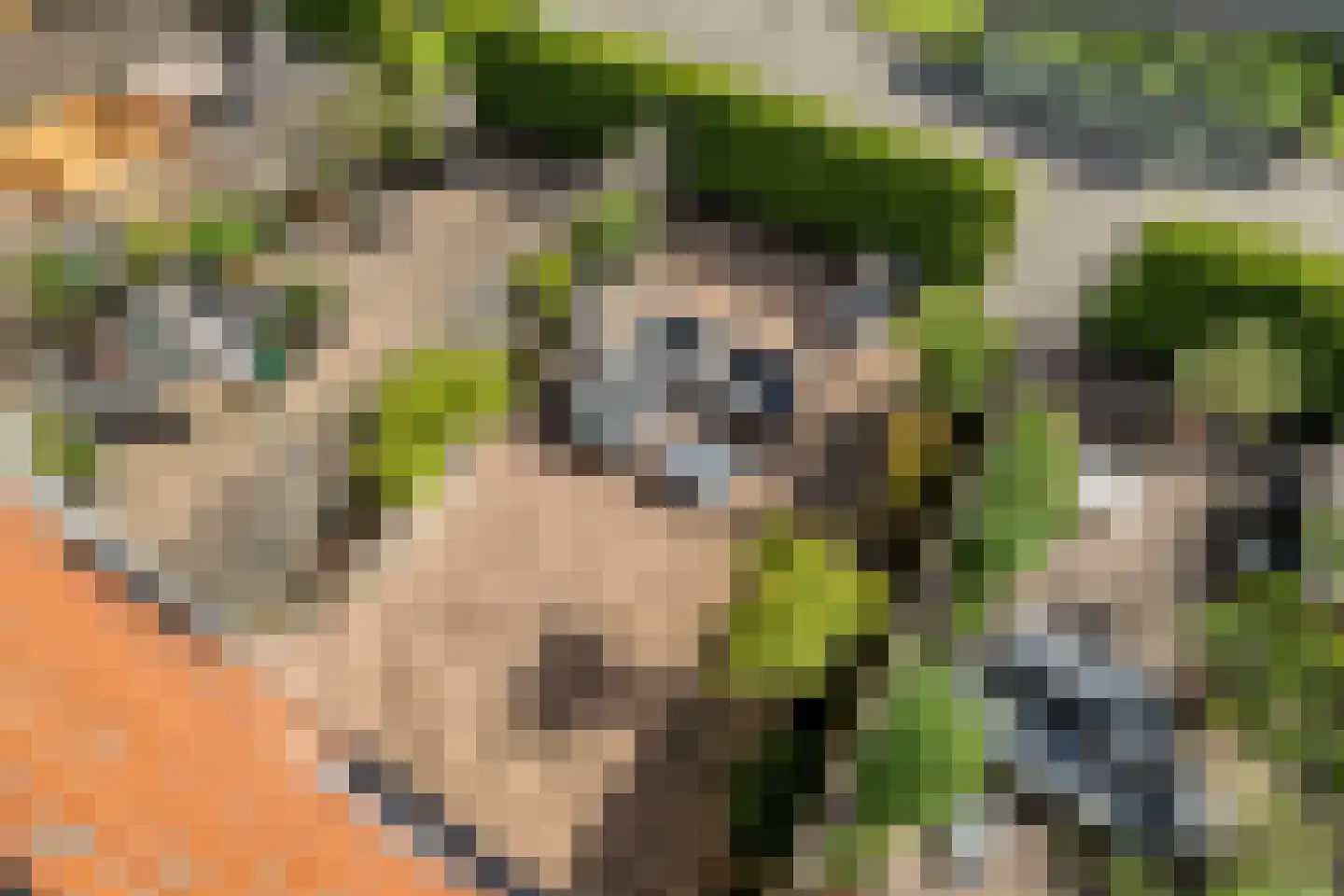 Hoge Rijndijk 4 26 Woerden thumbnail 4