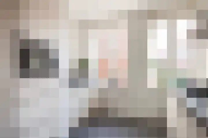 Hoge Rijndijk 4 5 Woerden thumbnail 11