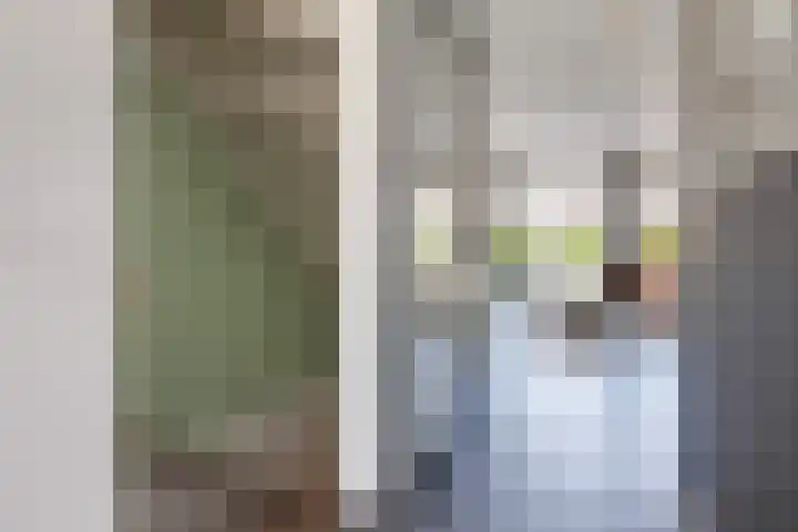 Hoge Rijndijk 4 5 Woerden thumbnail 31