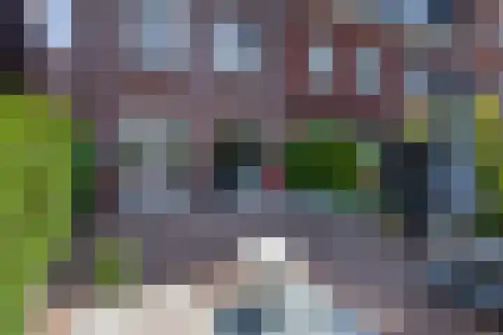 Hoge Rijndijk 4 5 Woerden thumbnail 39