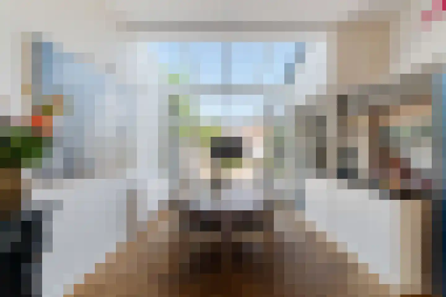 Hoge Rijndijk 44 Leiden thumbnail 13