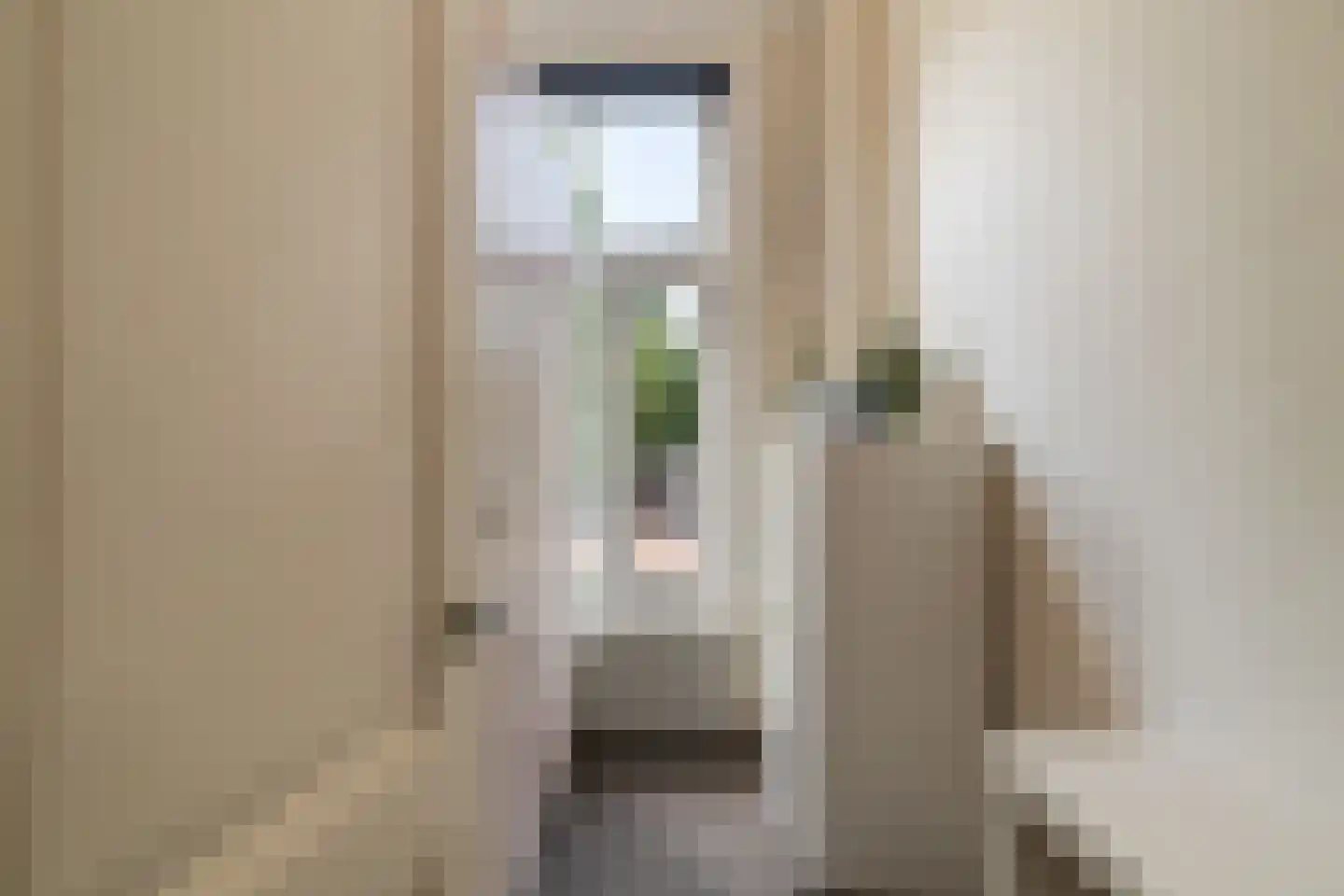 Hoge Rijndijk 44 Leiden thumbnail 22
