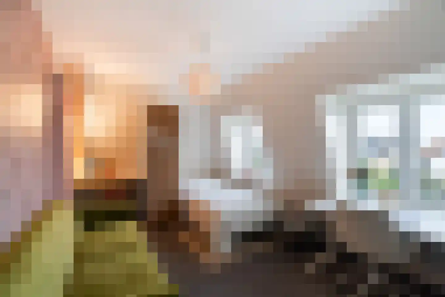 Hoge Rijndijk 44 Leiden thumbnail 41