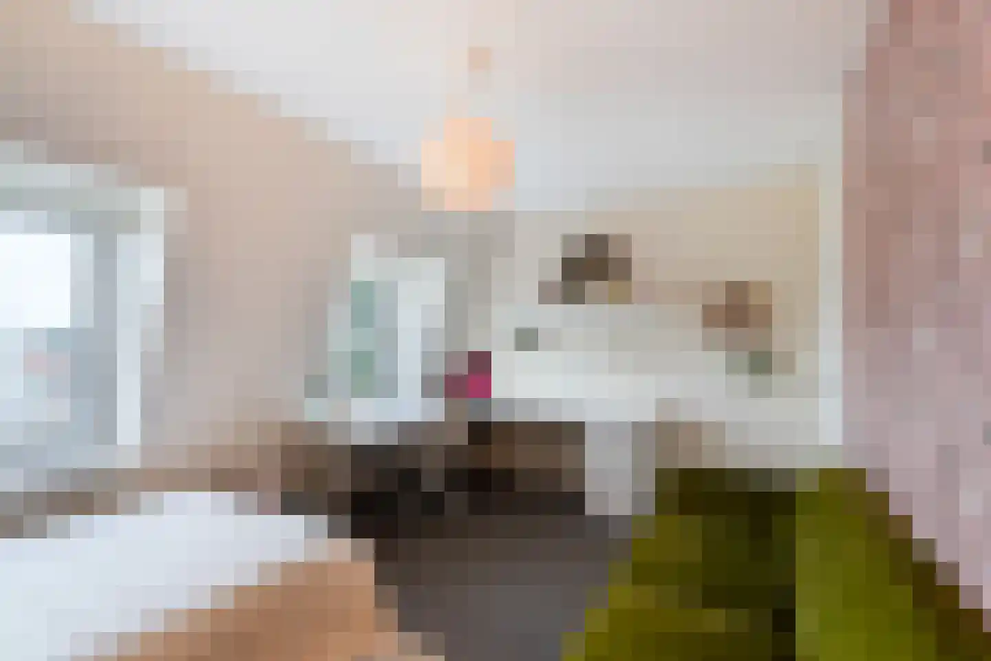 Hoge Rijndijk 44 Leiden thumbnail 42