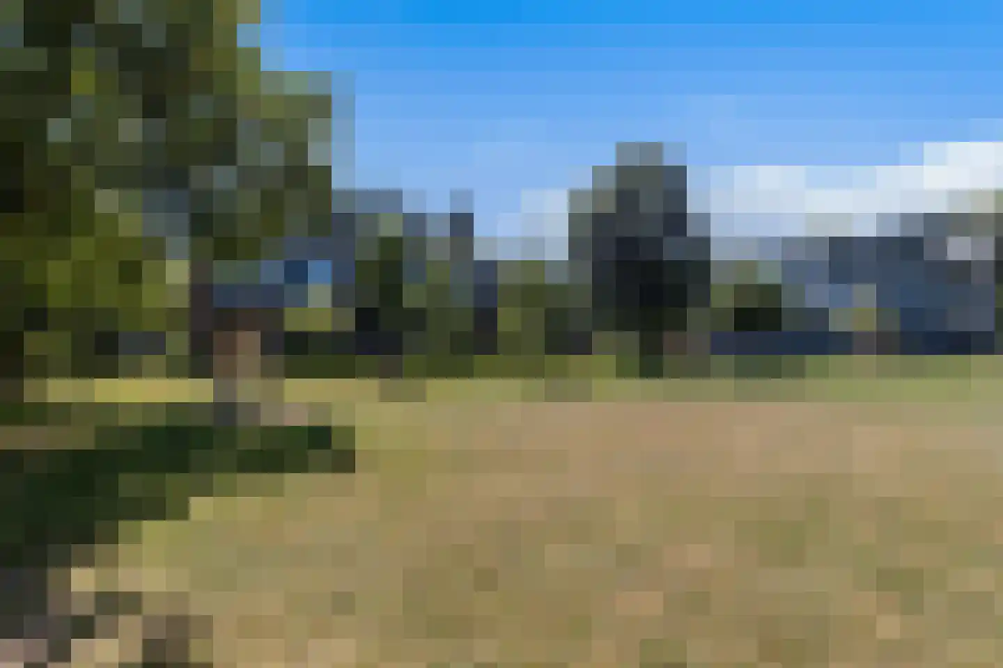 Hoge Rijndijk 44 Leiden thumbnail 62