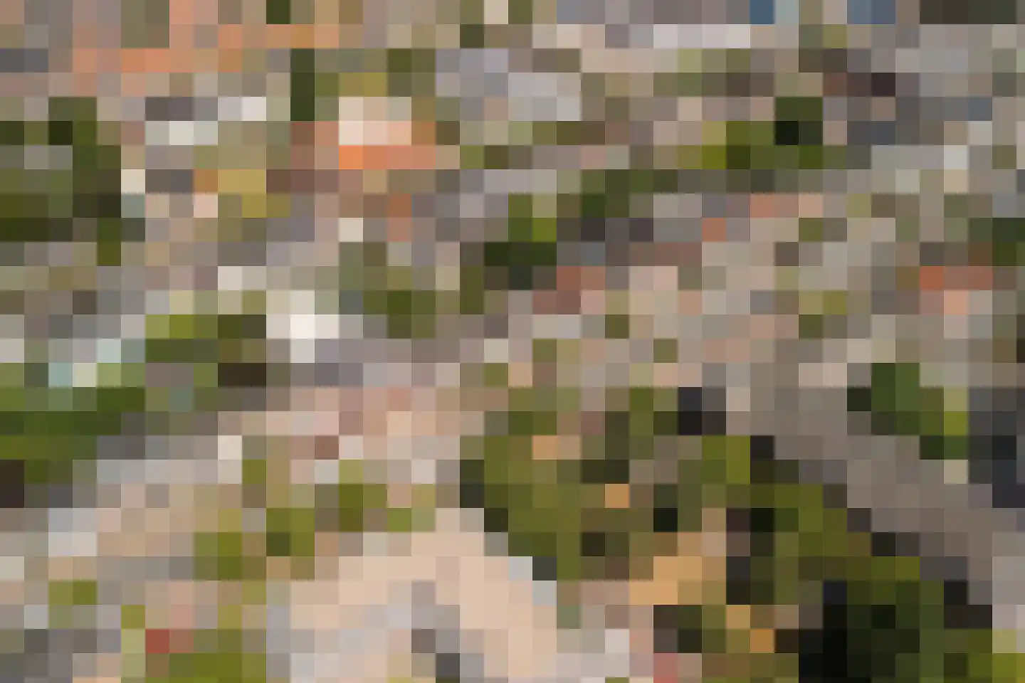 Hoge Rijndijk 44 Leiden thumbnail 67