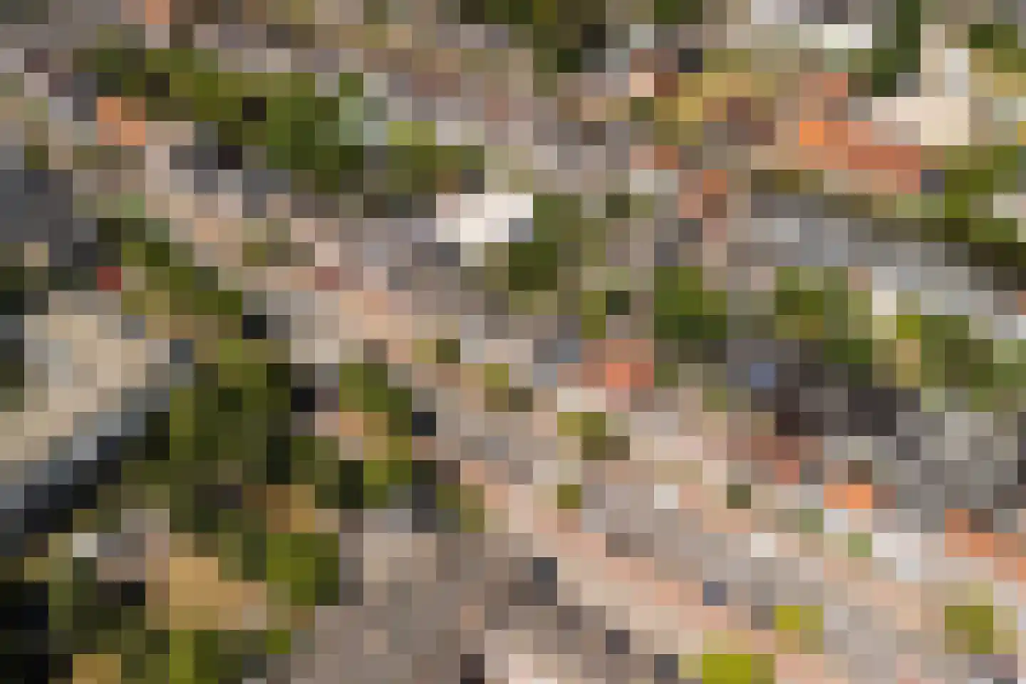 Hoge Rijndijk 44 Leiden thumbnail 69