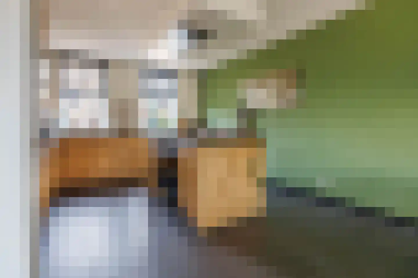 Hoge Rijndijk 46 A Zoeterwoude thumbnail 12
