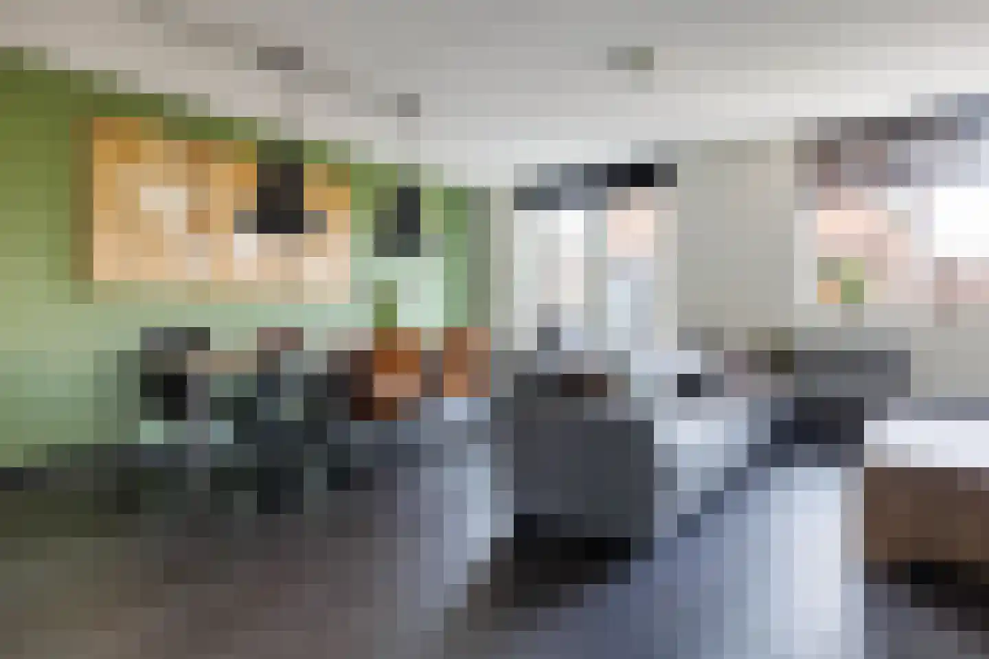 Hoge Rijndijk 46 A Zoeterwoude thumbnail 15