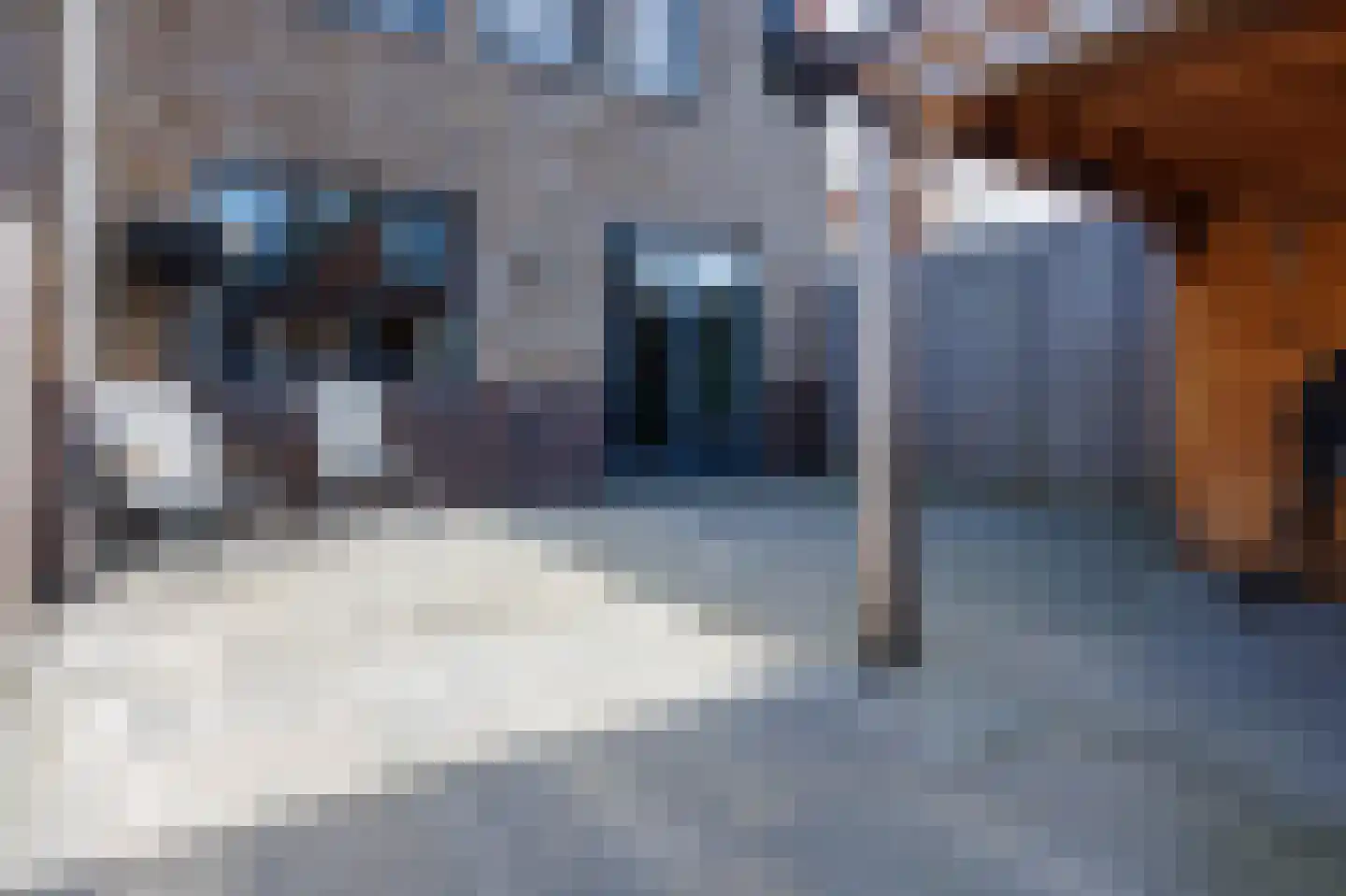 Hoge Rijndijk 46 A Zoeterwoude thumbnail 16