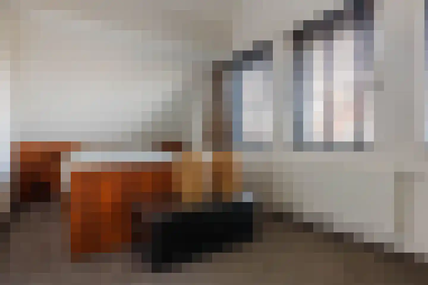 Hoge Rijndijk 46 A Zoeterwoude thumbnail 22