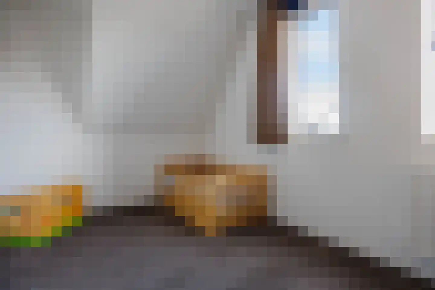 Hoge Rijndijk 46 A Zoeterwoude thumbnail 30