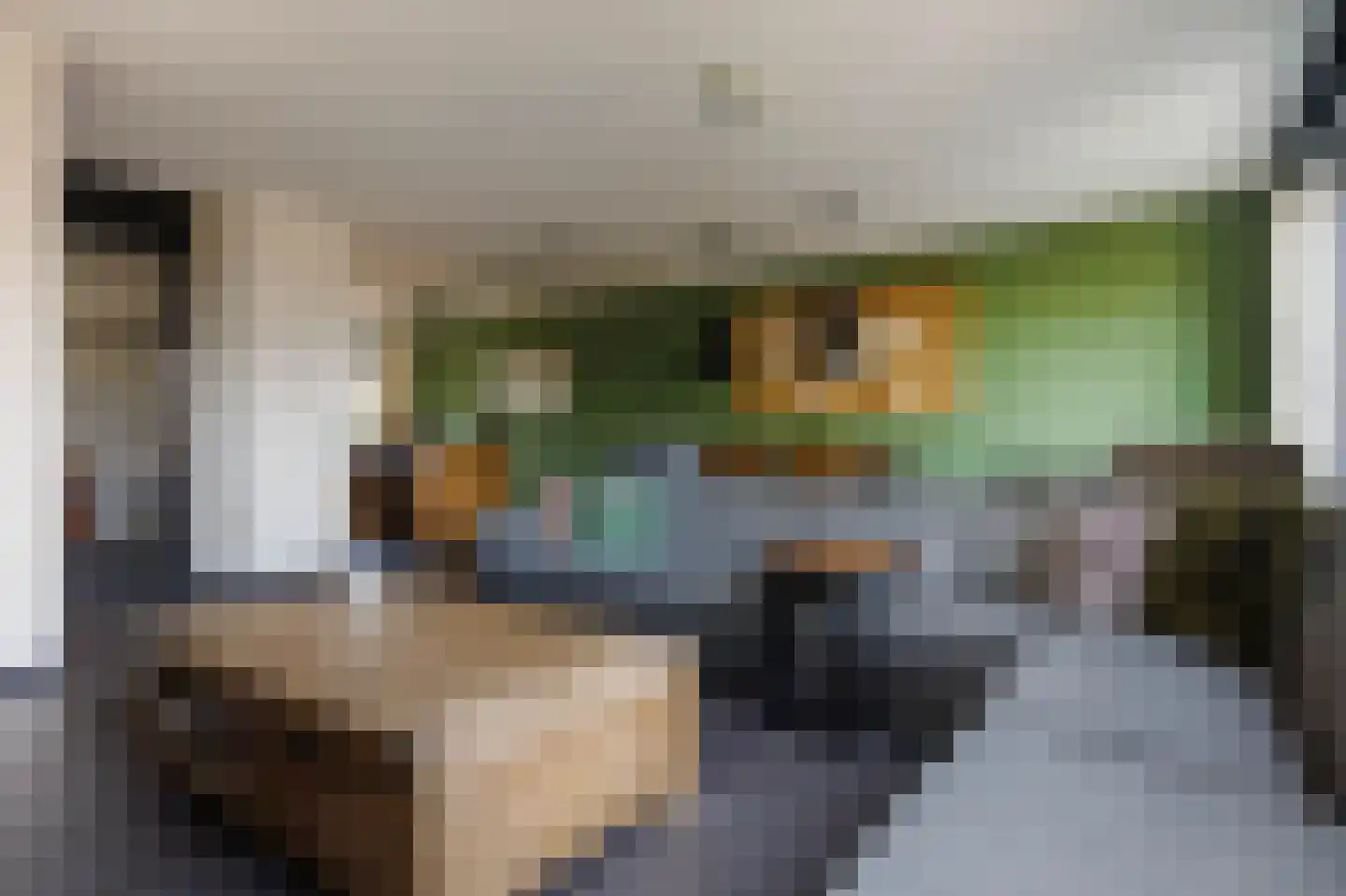 Hoge Rijndijk 46 A Zoeterwoude thumbnail 6