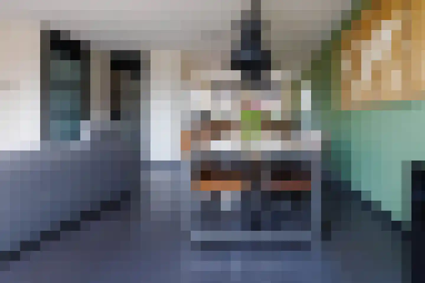 Hoge Rijndijk 46 A Zoeterwoude thumbnail 7
