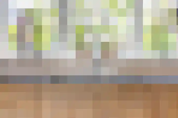 Hoge Rijndijk 46 Zoeterwoude thumbnail 12