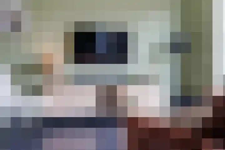 Hoge Rijndijk 46 Zoeterwoude thumbnail 16