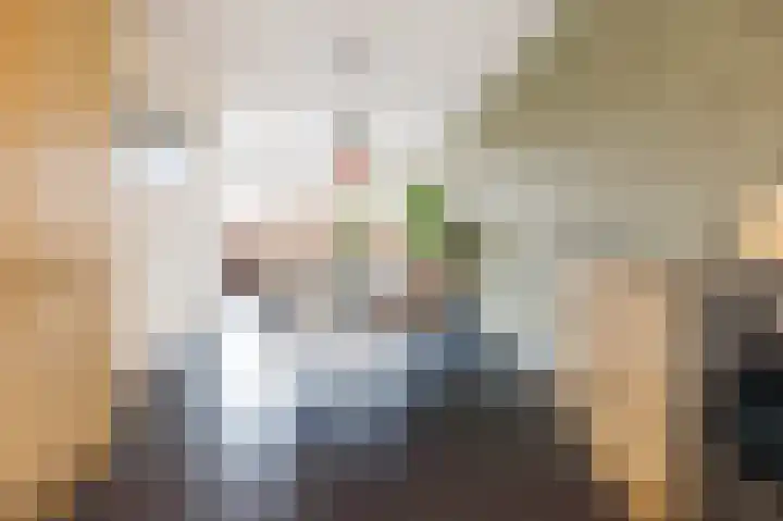 Hoge Rijndijk 46 Zoeterwoude thumbnail 7