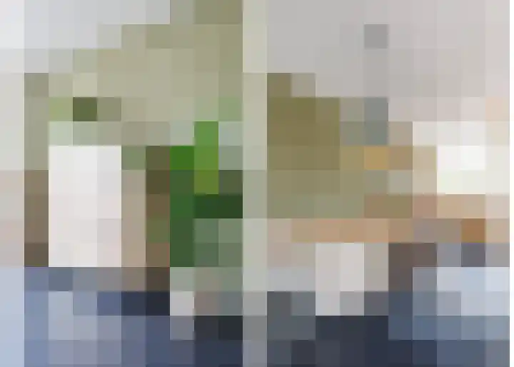 Hoge Rijndijk 46 Zoeterwoude thumbnail 8