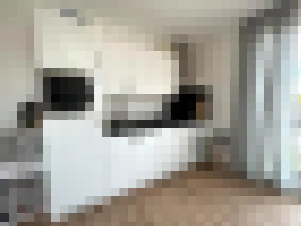 Hoge Rijndijk 48 Zoeterwoude thumbnail 4