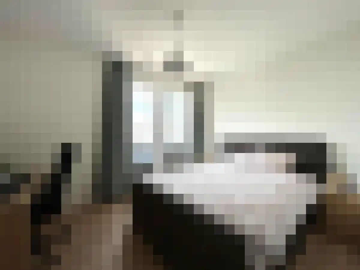 Hoge Rijndijk 48 Zoeterwoude thumbnail 6