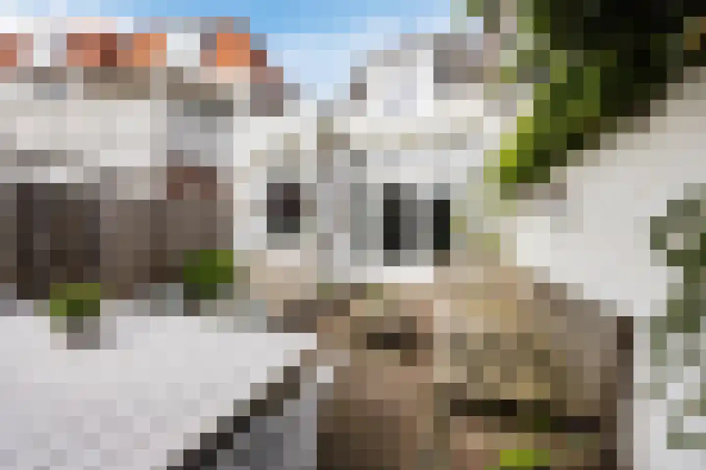Hoge Rijndijk 49 Leiden thumbnail 4