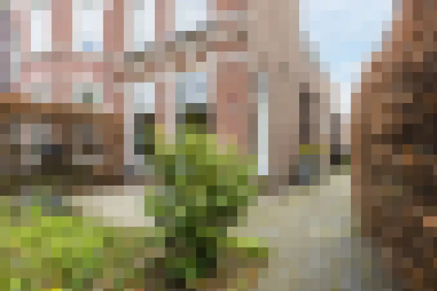 Hoge Rijndijk 49 Leiden thumbnail 5