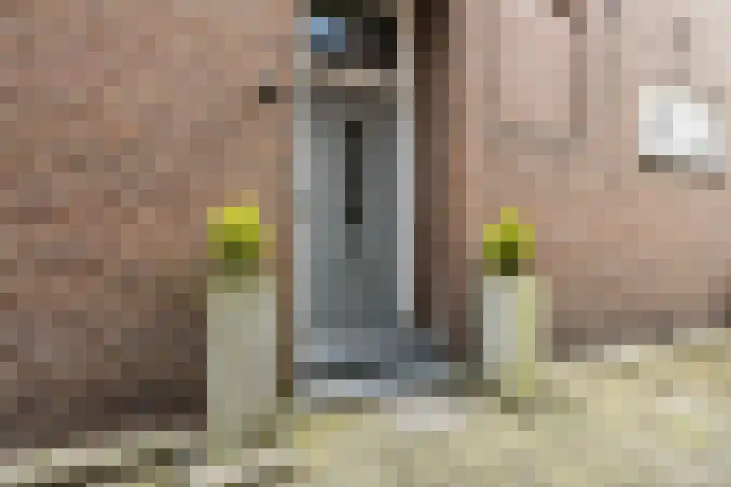 Hoge Rijndijk 49 Leiden thumbnail 6