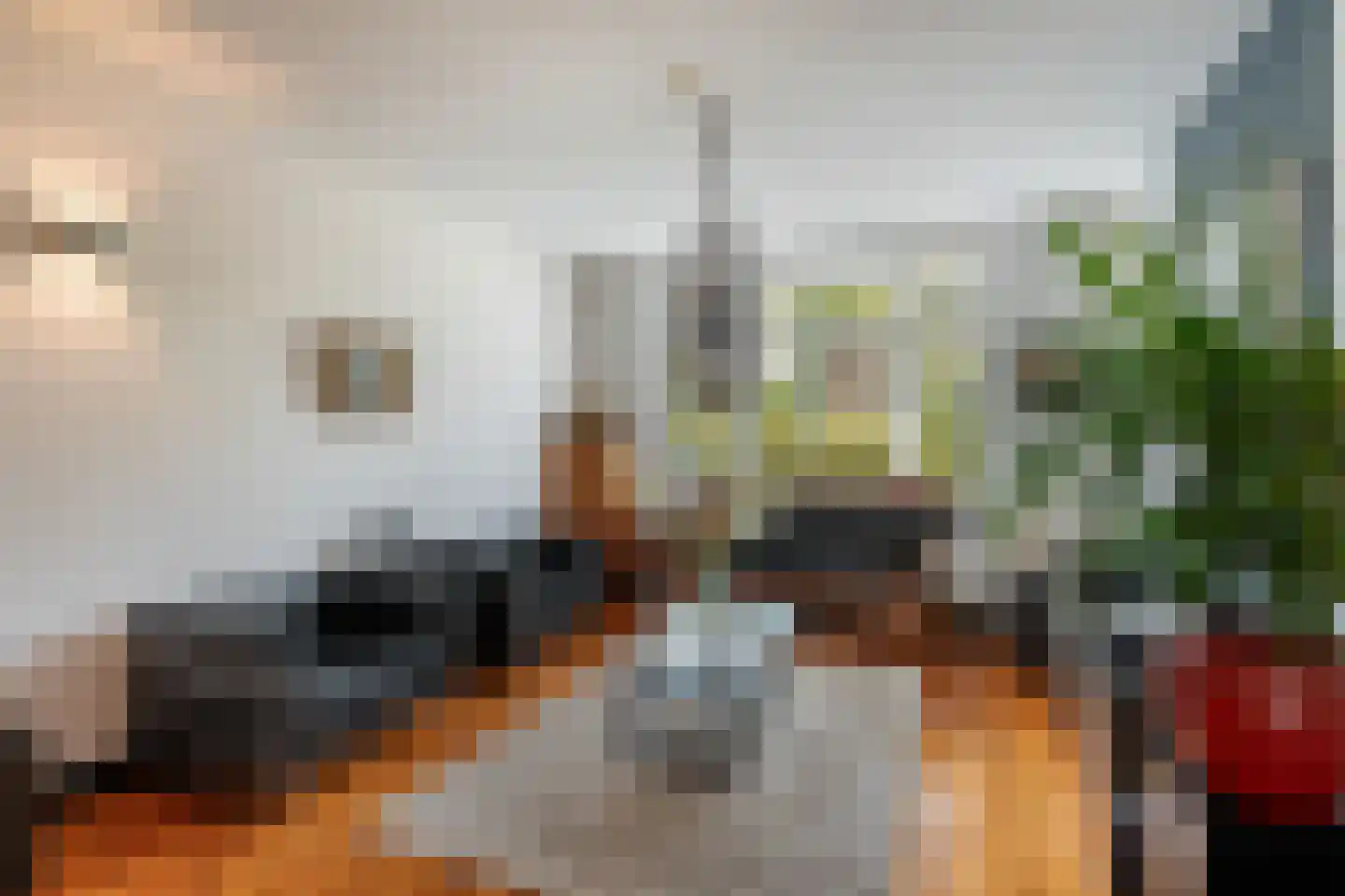 Hoge Rijndijk 49 Zoeterwoude thumbnail 11