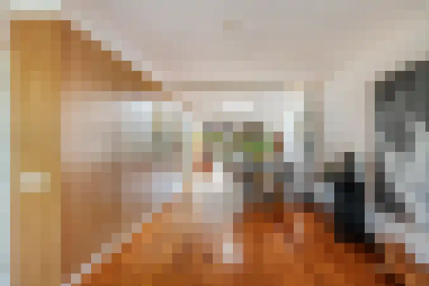 Hoge Rijndijk 49 Zoeterwoude thumbnail 12