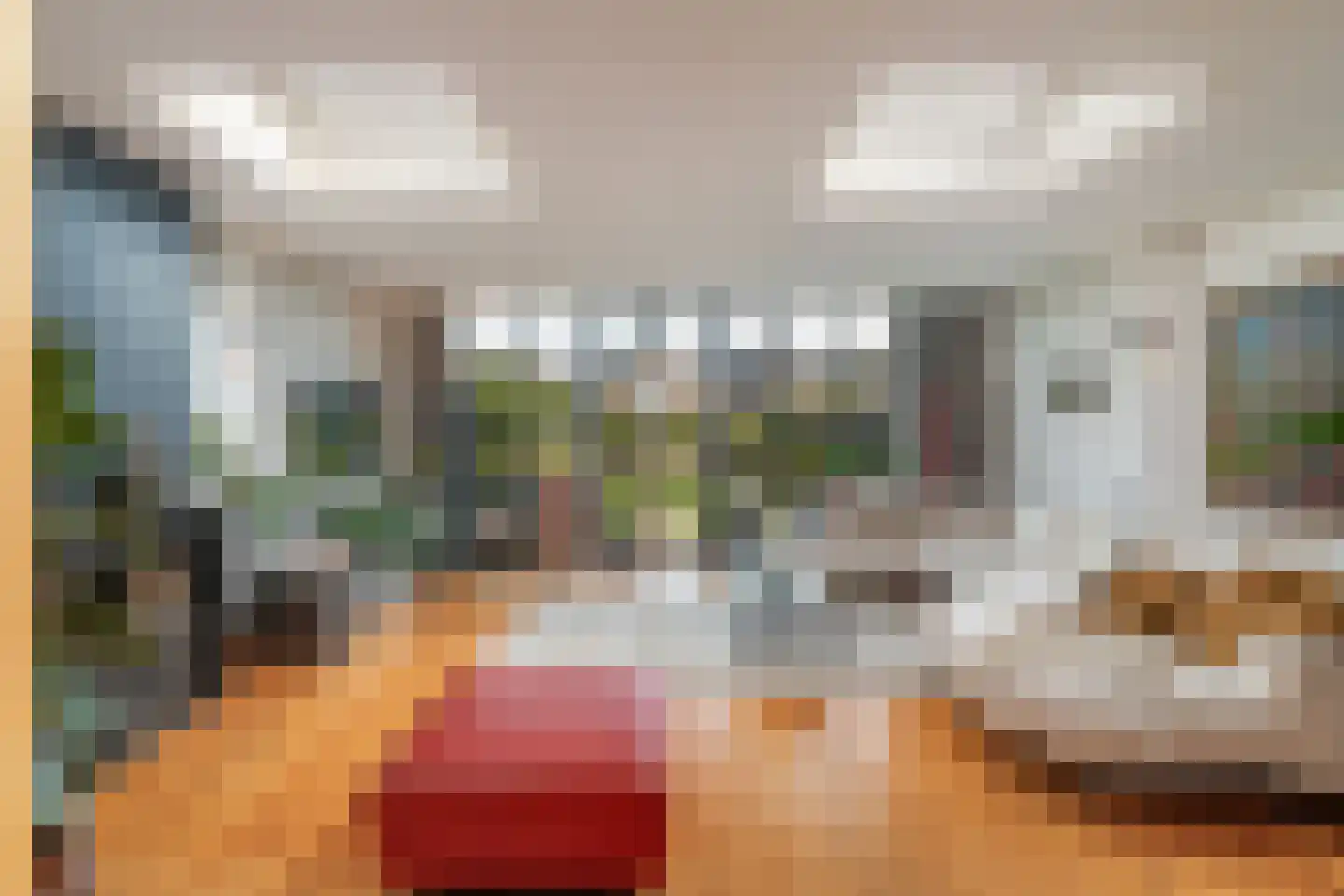 Hoge Rijndijk 49 Zoeterwoude thumbnail 14