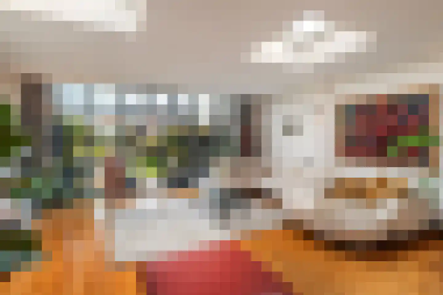 Hoge Rijndijk 49 Zoeterwoude thumbnail 16