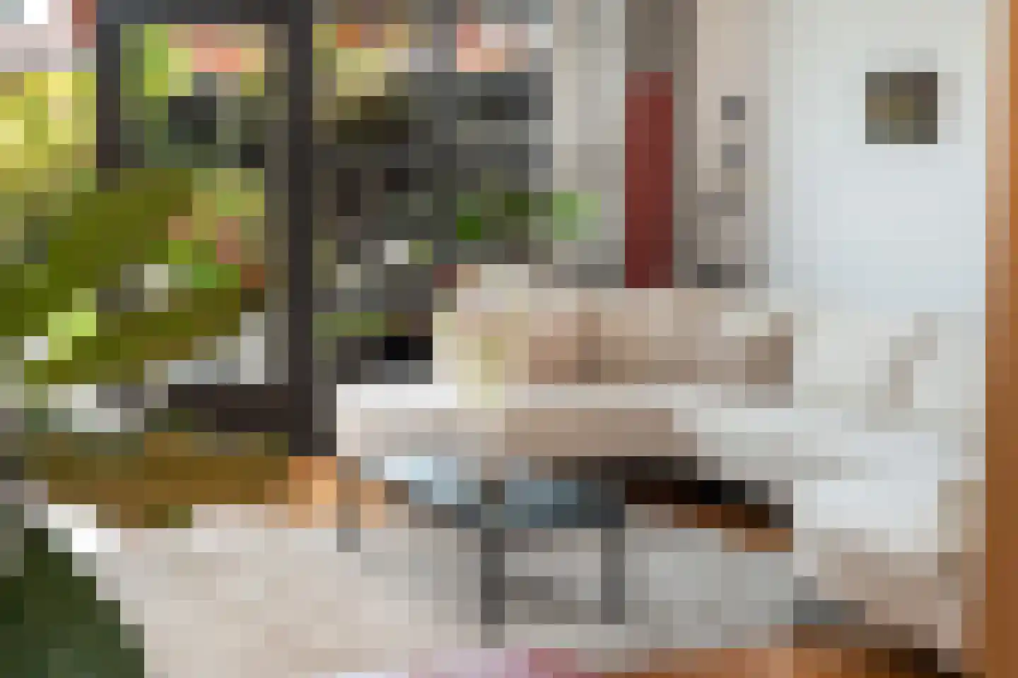 Hoge Rijndijk 49 Zoeterwoude thumbnail 17