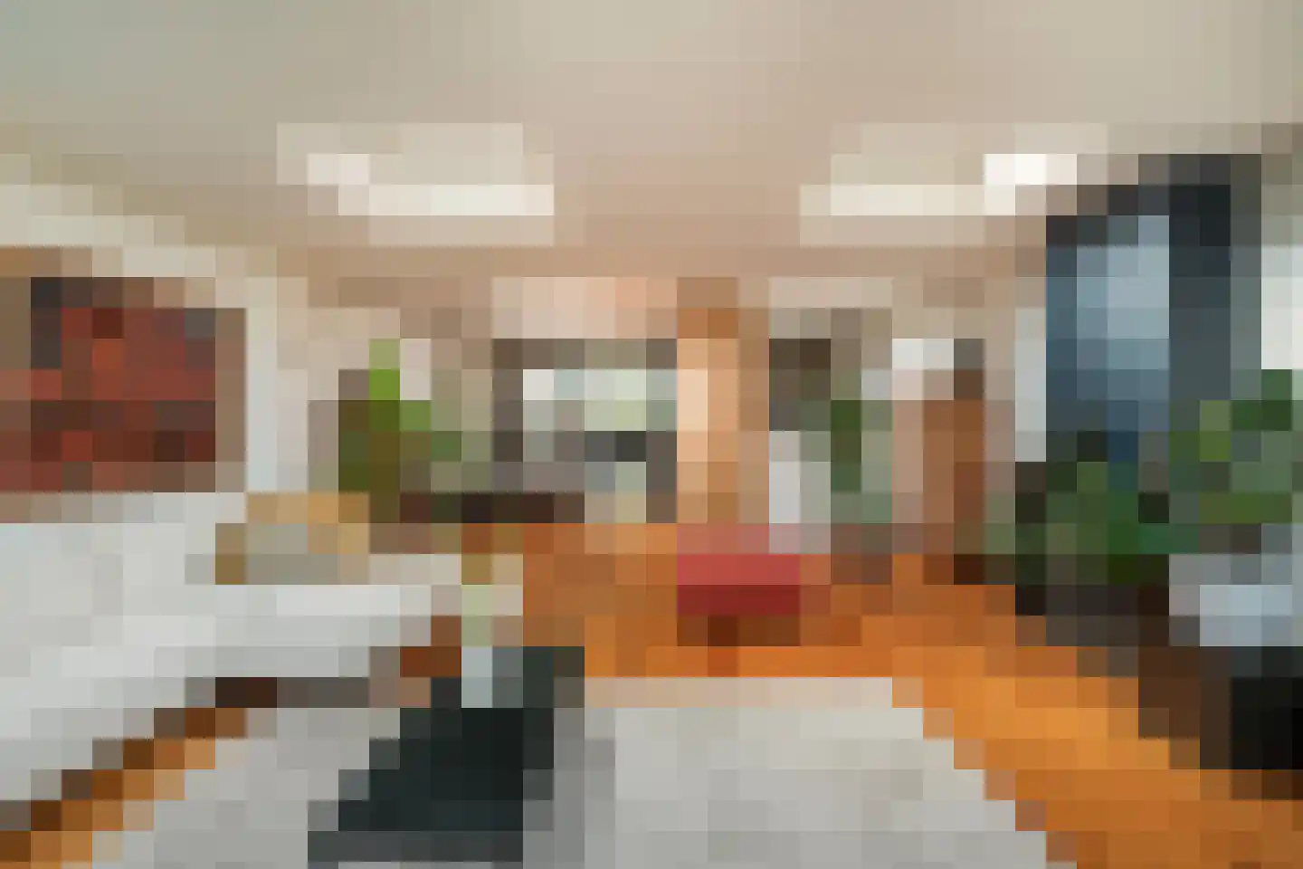 Hoge Rijndijk 49 Zoeterwoude thumbnail 20