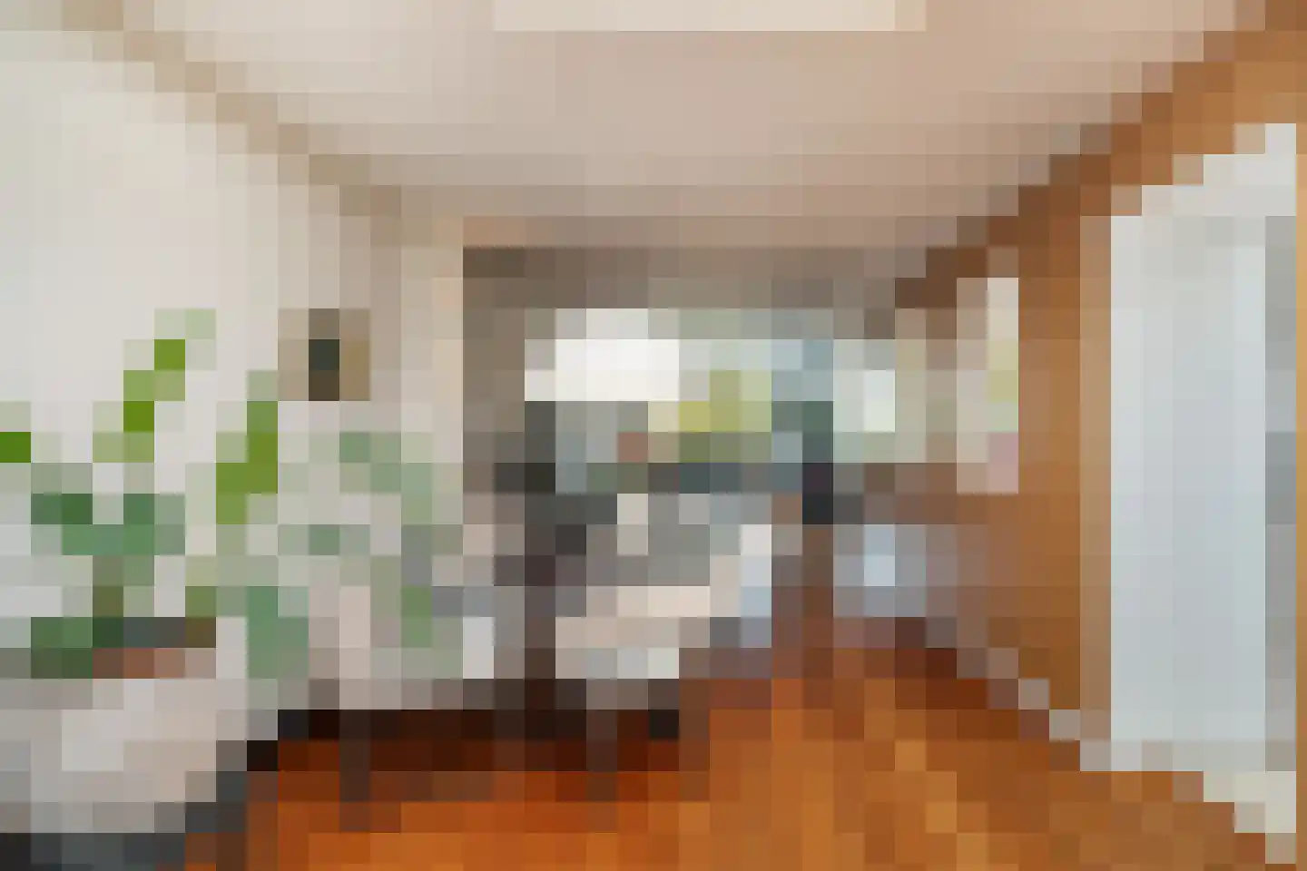 Hoge Rijndijk 49 Zoeterwoude thumbnail 23