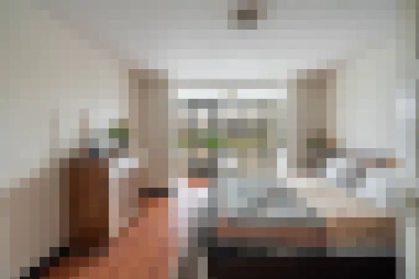 Hoge Rijndijk 49 Zoeterwoude thumbnail 34