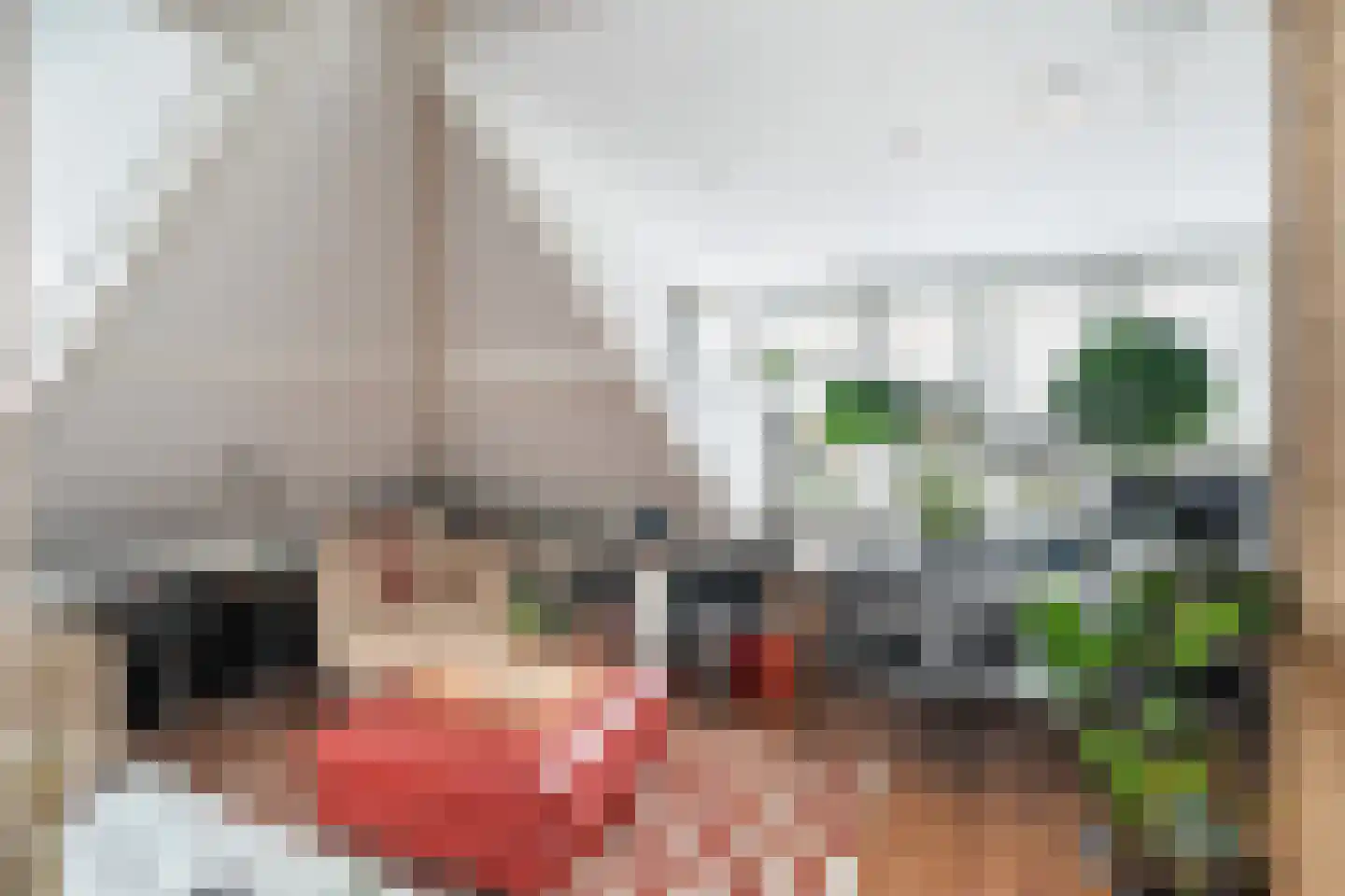 Hoge Rijndijk 49 Zoeterwoude thumbnail 45