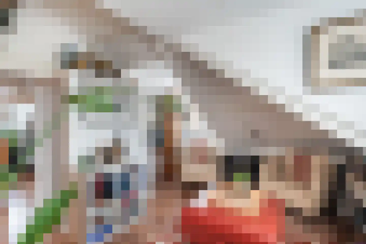 Hoge Rijndijk 49 Zoeterwoude thumbnail 46