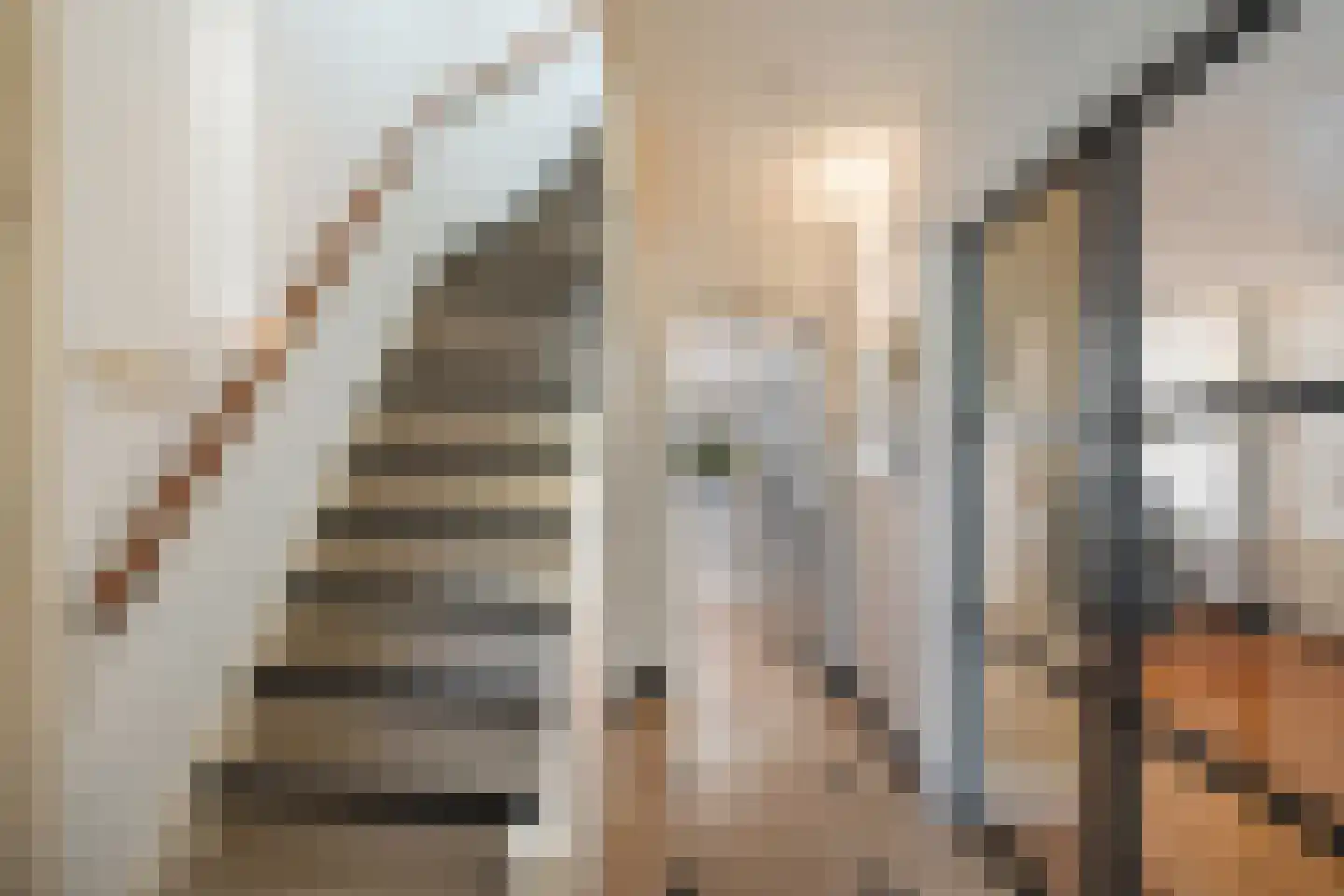 Hoge Rijndijk 49 Zoeterwoude thumbnail 5