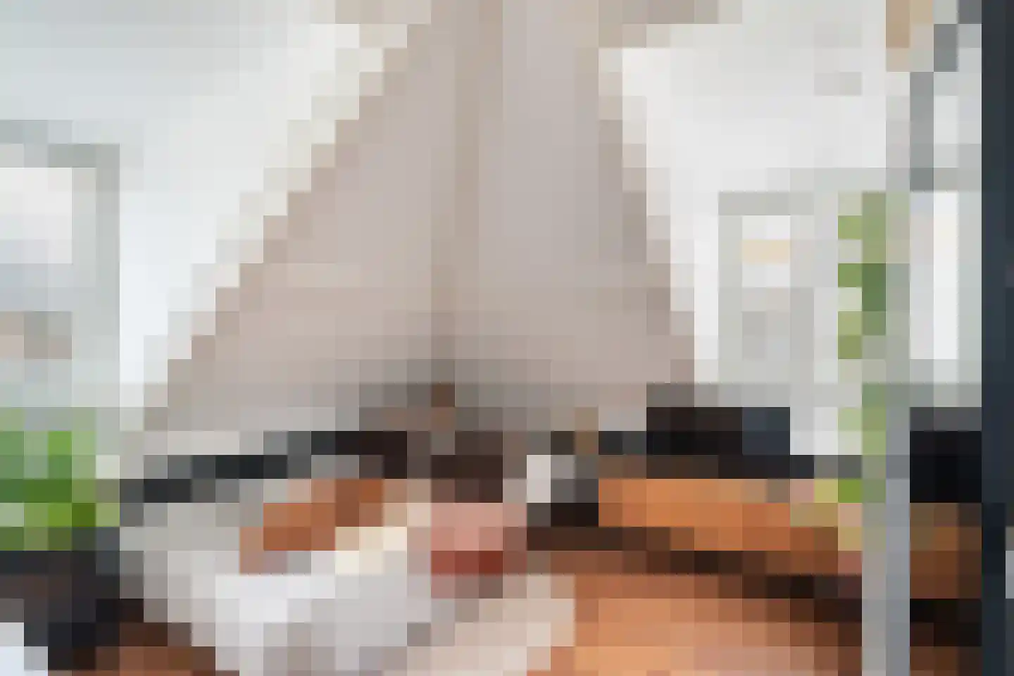 Hoge Rijndijk 49 Zoeterwoude thumbnail 55