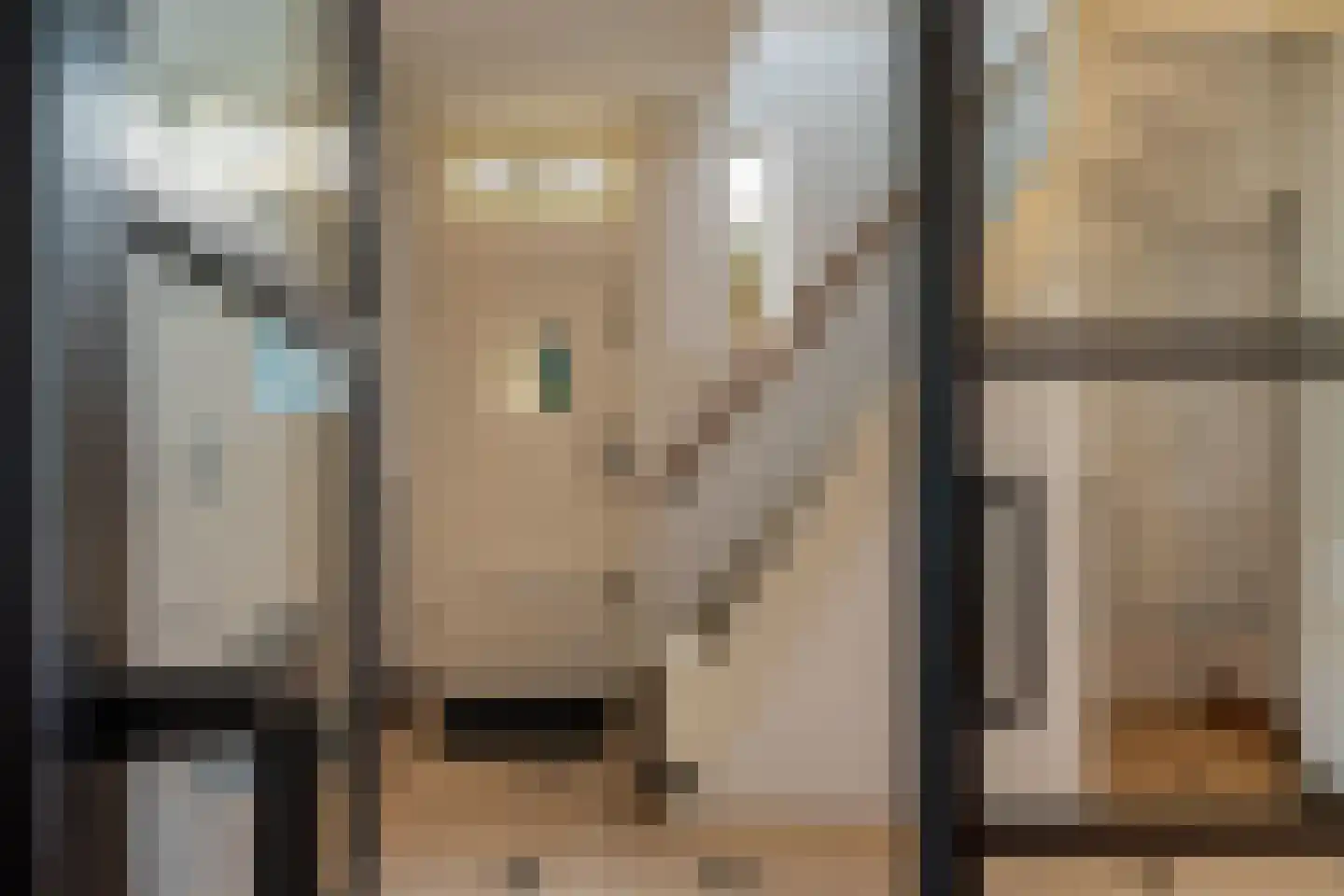 Hoge Rijndijk 49 Zoeterwoude thumbnail 6