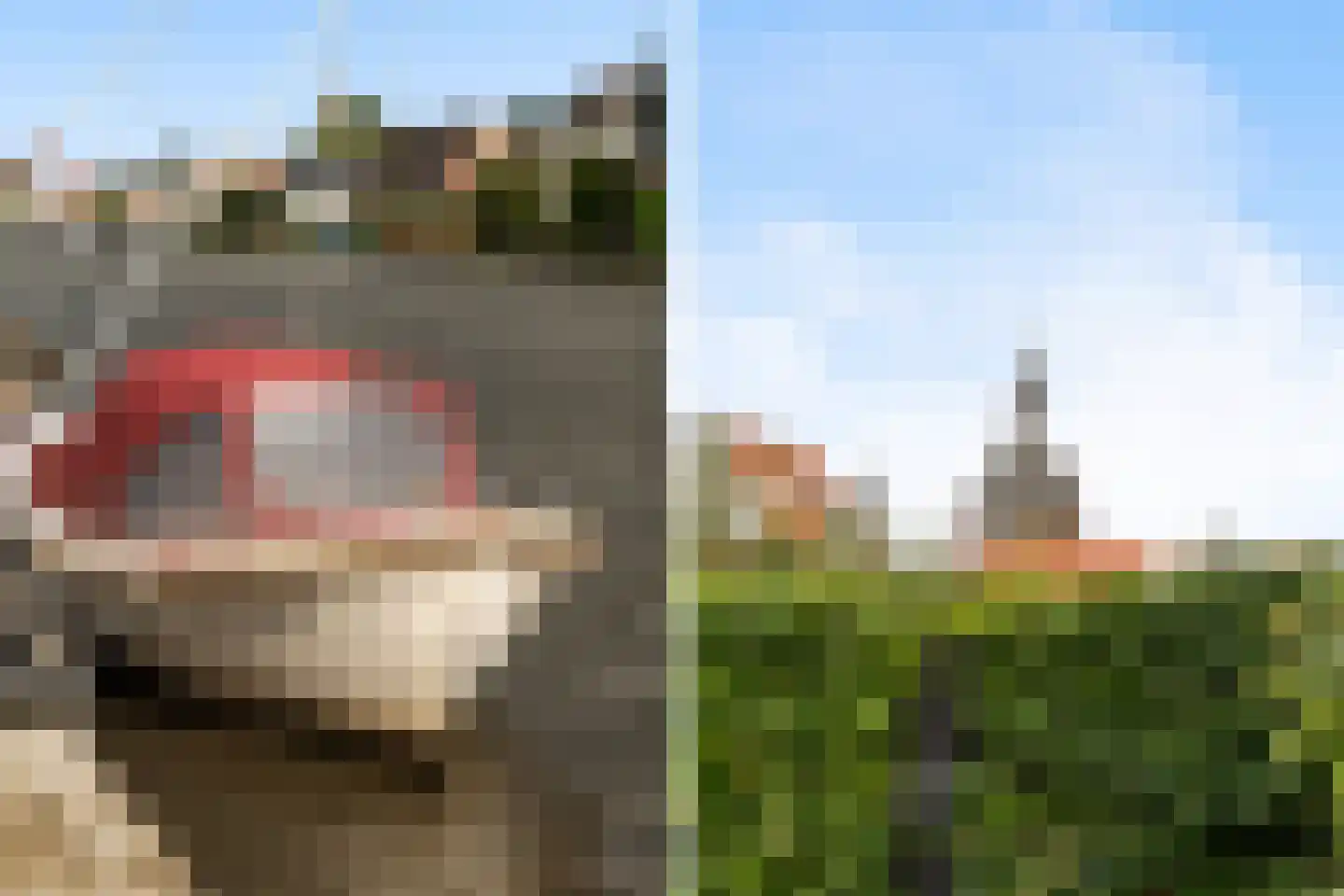 Hoge Rijndijk 49 Zoeterwoude thumbnail 66