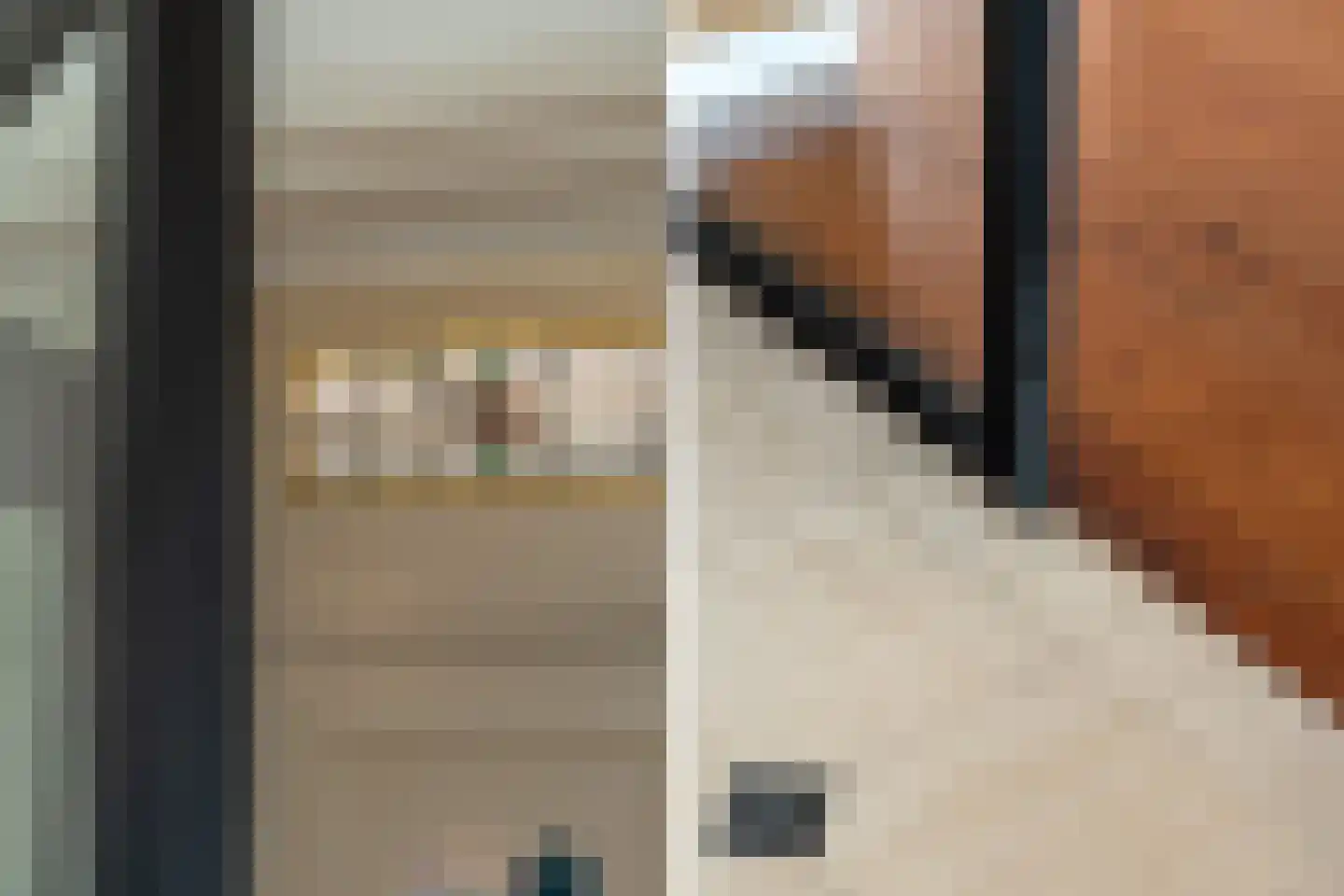 Hoge Rijndijk 49 Zoeterwoude thumbnail 7
