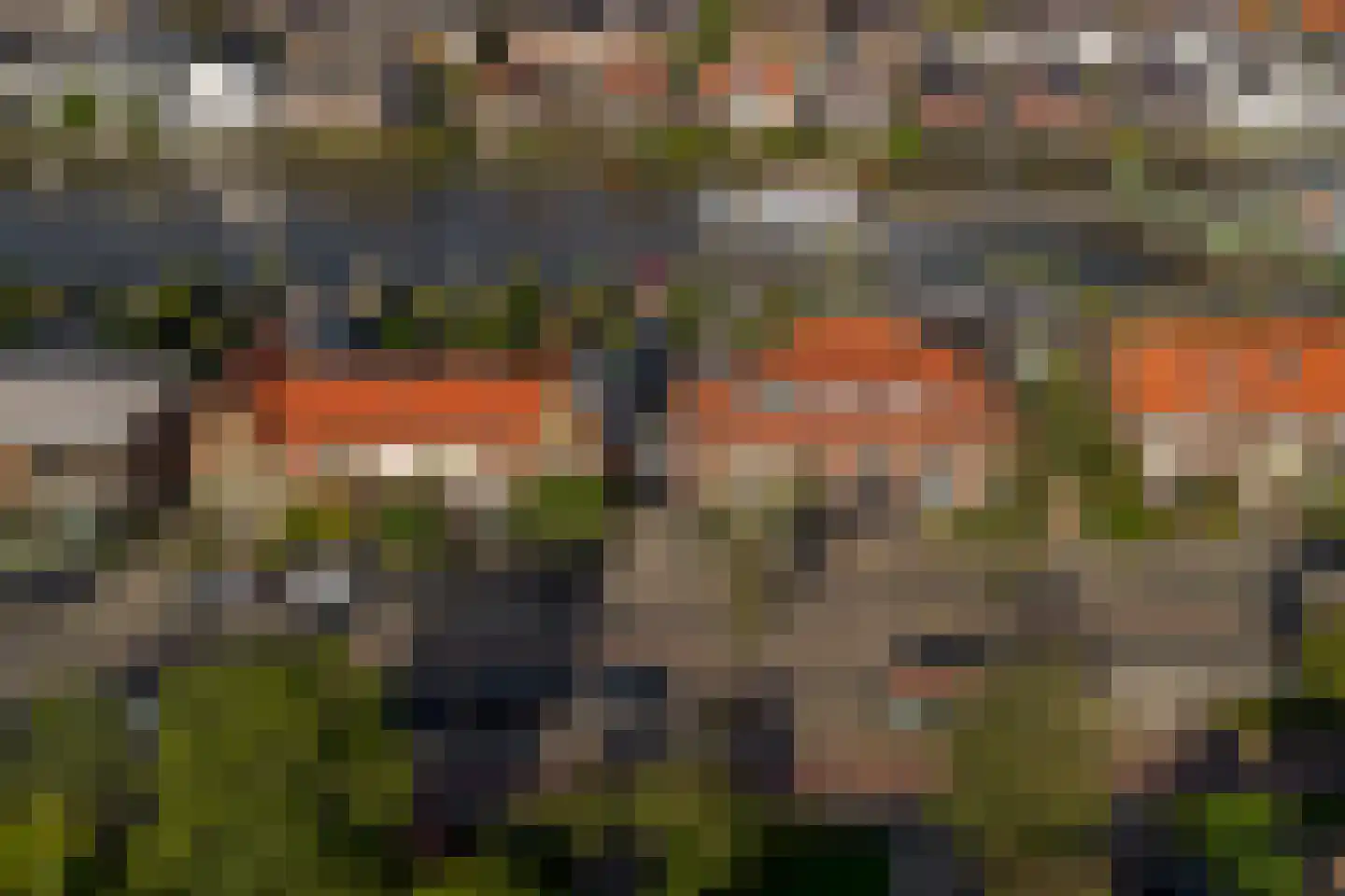 Hoge Rijndijk 49 Zoeterwoude thumbnail 78
