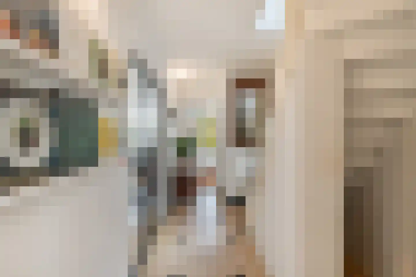 Hoge Rijndijk 49 Zoeterwoude thumbnail 8
