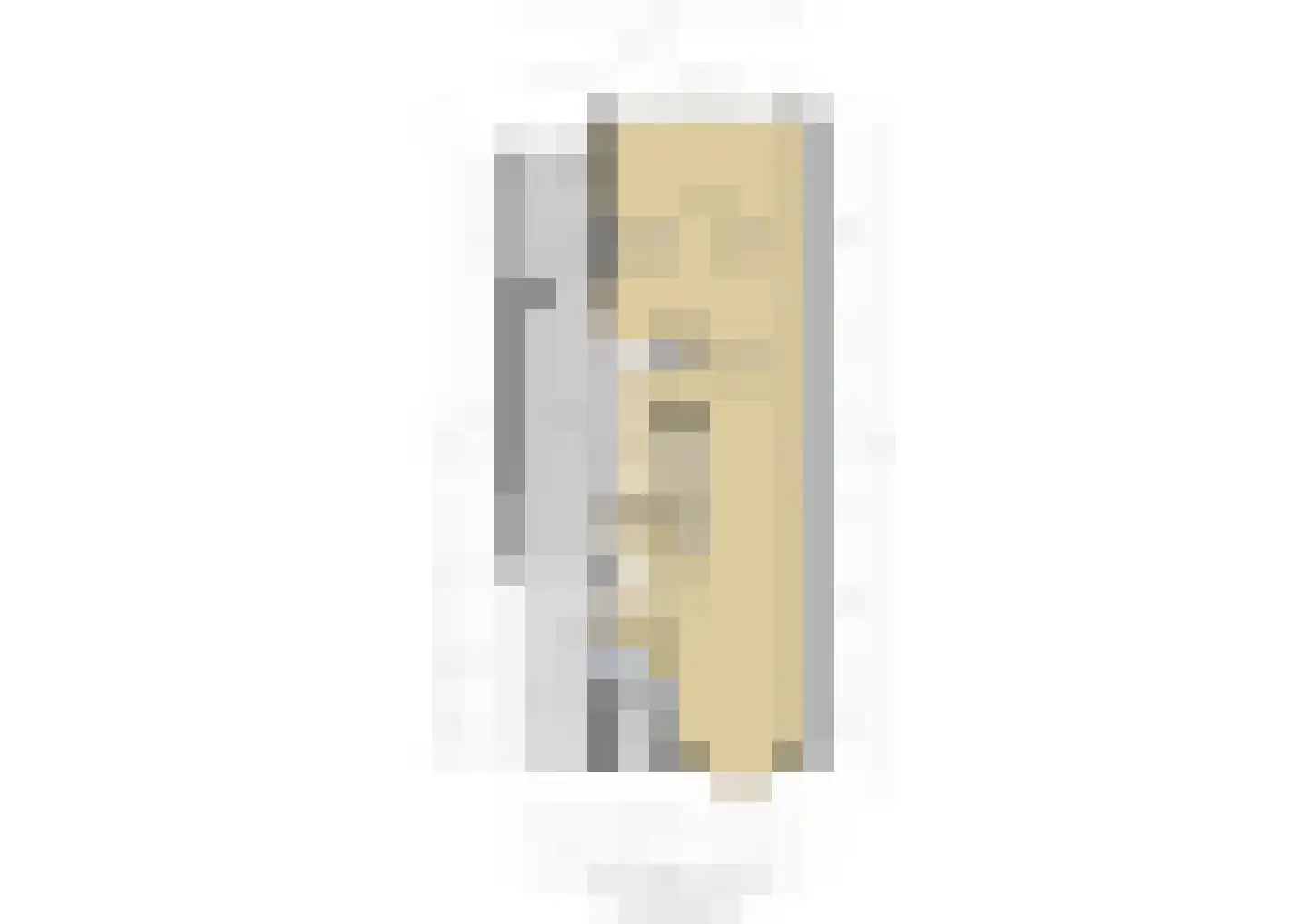 Hoge Rijndijk 49 Zoeterwoude thumbnail 82