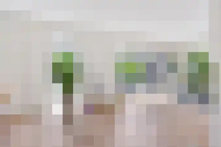 Hoge Rijndijk 51 d Nieuwerbrug aan den Rijn thumbnail 11