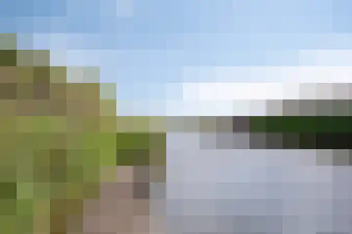 Hoge Rijndijk 51 d Nieuwerbrug aan den Rijn thumbnail 38