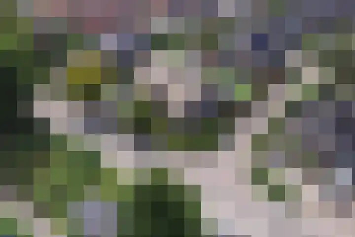 Hoge Rijndijk 51 d Nieuwerbrug aan den Rijn thumbnail 6