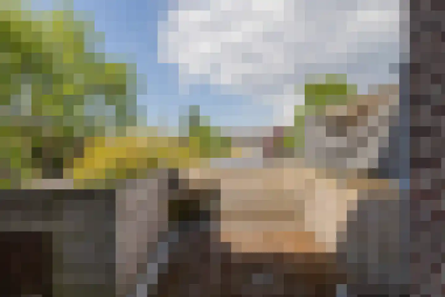 Hoge Rijndijk 56 Leiden thumbnail 20